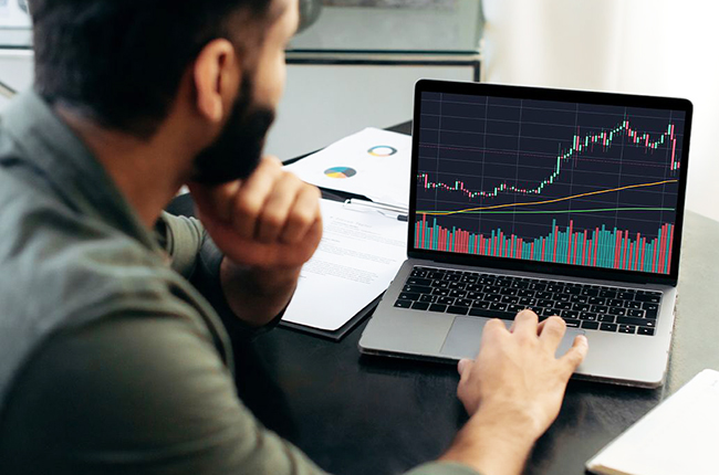 Who conducts the portfolio audit? Investment Advisor, Investment Specialist, Kyiv, Ukraine.